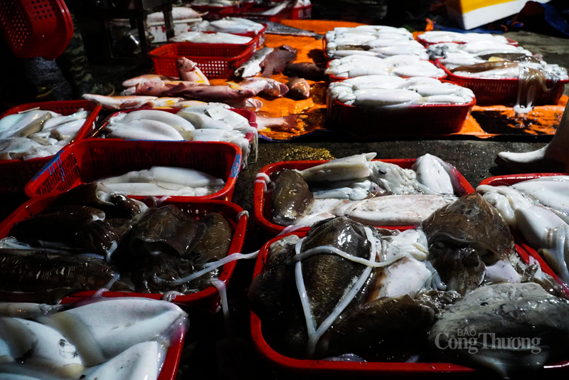 Những mẻ cá đầy khoang không chỉ mang lại thu nhập, mà còn là niềm tin, hy vọng về năm 2026 thịnh vượng, góp phần thúc đẩy kinh tế biển của tỉnh ngày càng phát triển.