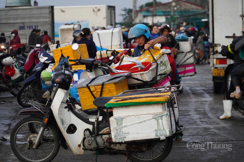 Do nhu cầu tiêu thụ dịp đầu năm và chuẩn bị cho Tết Nguyên đán tăng cao, giá hải sản tại bến đang duy trì ở mức khá tốt, giúp thu nhập của người dân được đảm bảo.