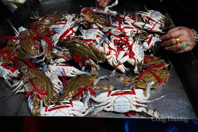 Cảng cá tấp nập, ngư dân vươn khơi bám biển dịp đầu năm - 5