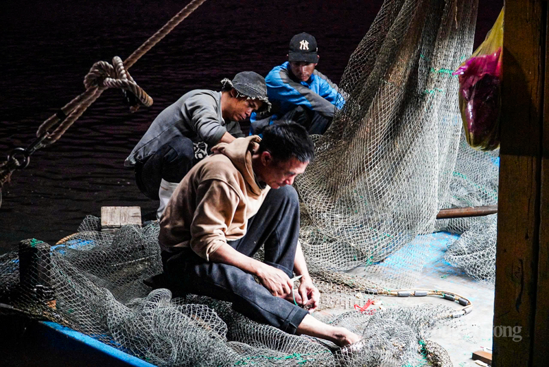 Ngư dân Nguyễn Đình Hoàng (xã Lộc Hà) phấn khởi chia sẻ, may mắn là thời tiết thuận lợi, luồng cá xuất hiện khá dày. “Tàu tôi thu về hơn 2 tạ cá cơm và một ít cá thu. Đầu năm mà có 'lộc' thế này, anh em bạn tàu ai cũng phấn chấn, hy vọng cả năm 2026, việc đi biển sẽ hanh thông, thuận lợi”, ông nói.