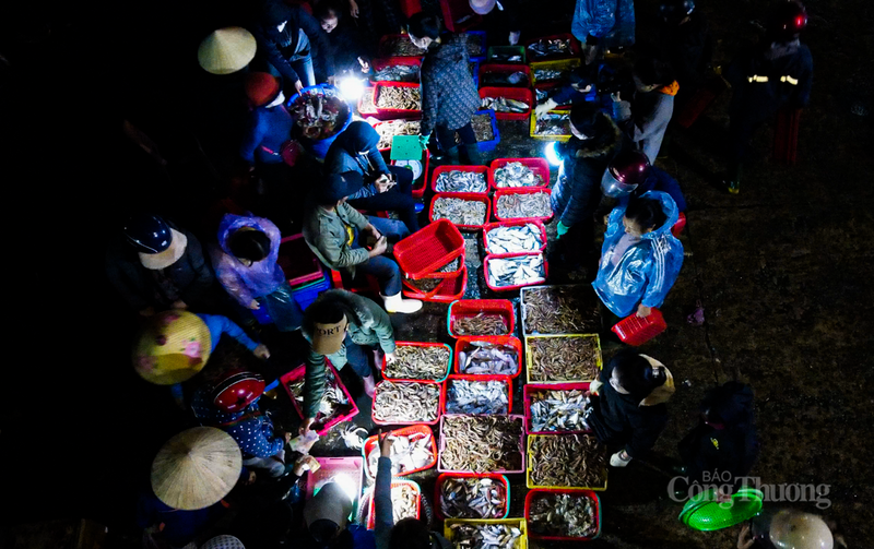 Trên bến, dưới thuyền, khung cảnh mua bán diễn ra tấp nập. Những rổ cá cơm bạc trắng, cá hố dài lấp lánh hay những khay mực nháy tươi rói được chuyển nhanh từ khoang tàu lên bờ