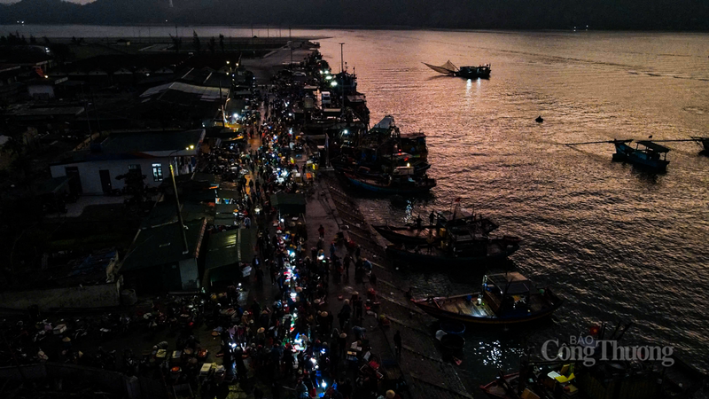 Ghi nhận của phóng viên Báo Công Thương trong những ngày đầu tháng 1/2026, ngay từ sáng sớm, khi sương mù còn giăng trên mặt biển, tiếng máy tàu từ xa vọng lại đã phá tan bầu không khí tĩnh lặng tại các cảng cá Hà Tĩnh.