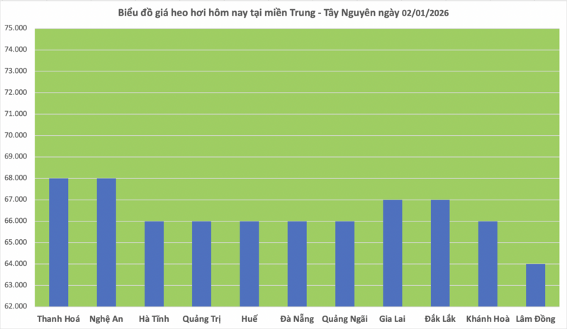 Giá heo hơi hôm nay 2/01/2026: Thị trường ảm đạm - 2