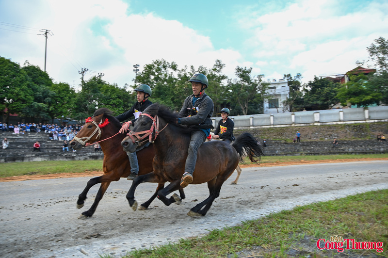 Có lẽ không ở bất cứ nơi đâu lại có một cuộc đua ngựa gay cấn, nguyên sơ và hồn nhiên như vậy.