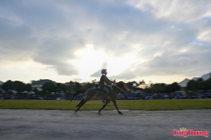 Những chú ngựa ngày thường thồ hàng, đi nương nay được chủ dẫn đến đọ tài tranh sức. Những chàng trai chân đất, đầu đội một chiếc mũ nhựa bảo hiểm, leo lên lưng con ngựa đua mà không cần đến yên,…