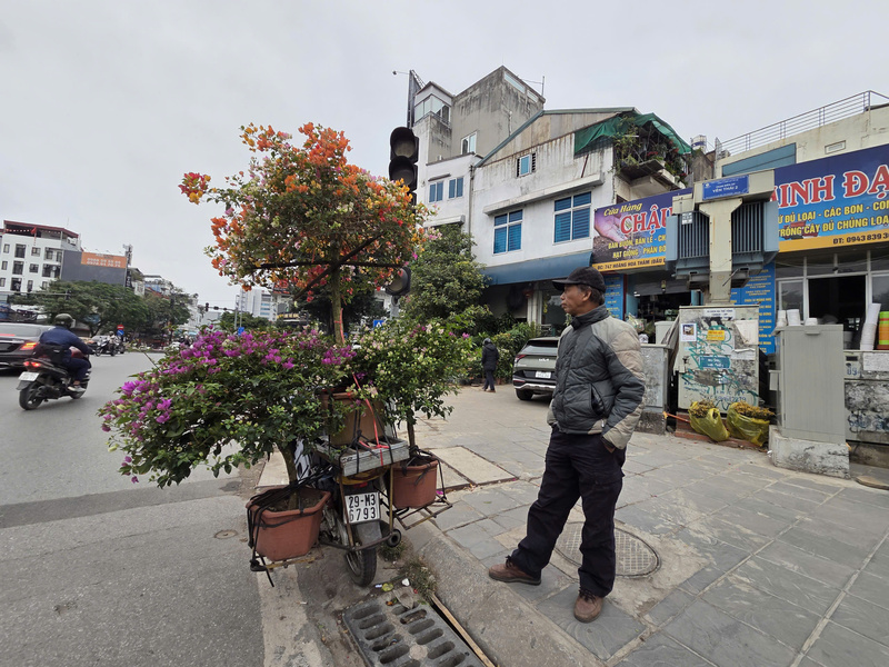 Người bán cây cảnh, hoa giấy dừng xe bên lề đường, mưu sinh trong không gian phố xá vắng hơn ngày thường giữa tiết trời rét đầu năm.