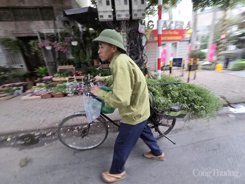 Dịp tết Dương lịch, nhiều người vẫn có thói quen mua rau mùi già về đun nước tắm. Một bác cao tuổi dắt xe đạp đi bán mùi già trên phố.