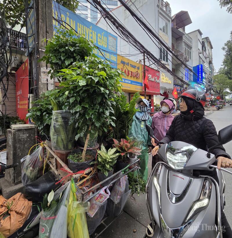 Cô Thanh bán cây cảnh lưu động ở đường Hoàng Hoa Thám cho biết, cô phải mặc thêm quần áo mưa để cho bớt rét.