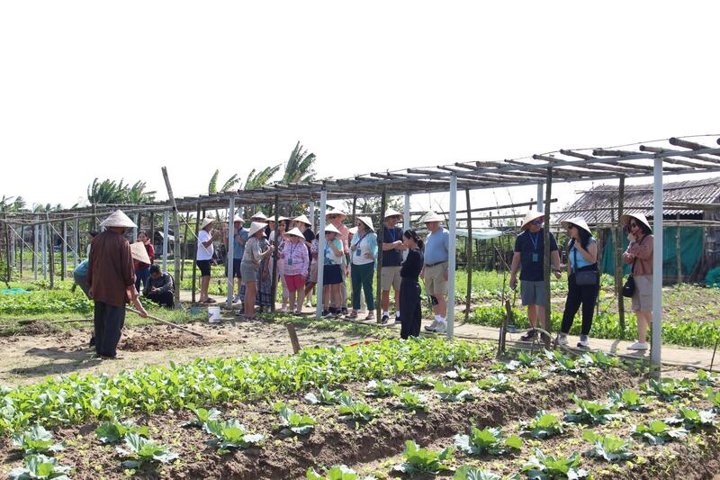 Những ngày dịp tết Dương lịch 2026, làng rau hữu cơ Thanh Đông (phường Hội An Đông, TP. Đà Nẵng) tấp nập đón từng đoàn du khách đến tham quan, trải nghiệm.