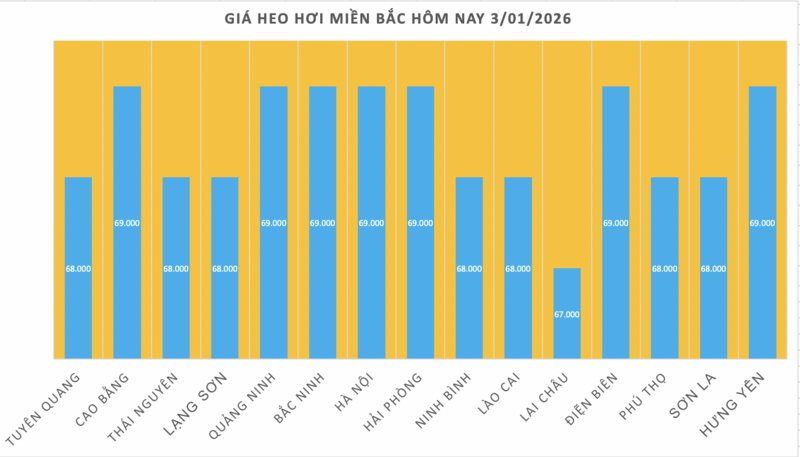 Giá heo hơi hôm nay 3/01/2026: Thị trường đi ngang - 1