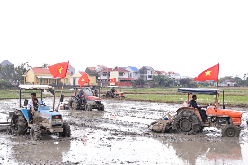 Trình diễn hoạt động trâu cày và xe máy cày. Ảnh: Diễm Phúc