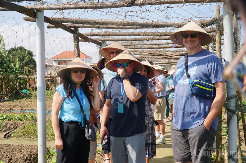 Đón 630.000 lượt khách tham quan, du lịch  dịp tết Dương lịch năm 2026, TP. Đà Nẵng thu về 2.445 tỷ đồng.