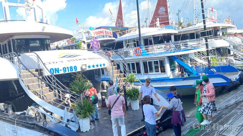 Đông đảo du khách trong và ngoài nước lựa chọn thăm quan Vịnh Hạ Long dịp nghỉ tết Dương lịch 2026.