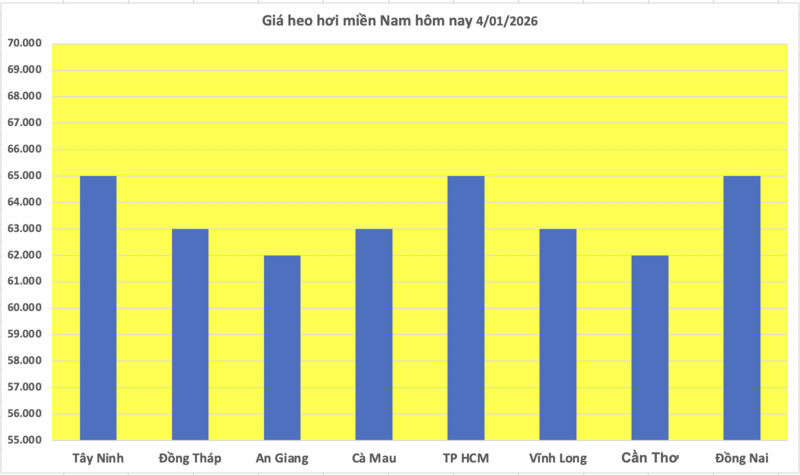 Giá heo hơi hôm nay 4/1/2026: Chững lại phiên cuối tuần - 3