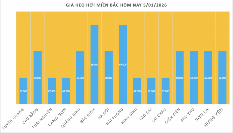 Giá heo hơi hôm nay 5/1/2026: 'Hạ nhiệt' trên cả 3 miền - 1