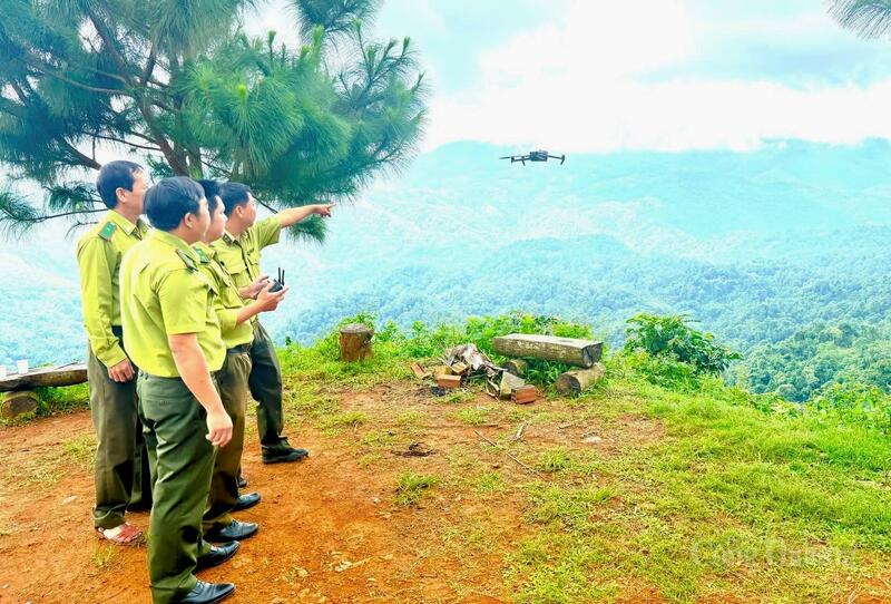 Sử dụng Flycam trong tuần tra, phát hiện vi phạm Luật Lâm nghiệp tại tiểu khu 595, Hạt kiểm lâm Đạ Hoai. Ảnh Minh An