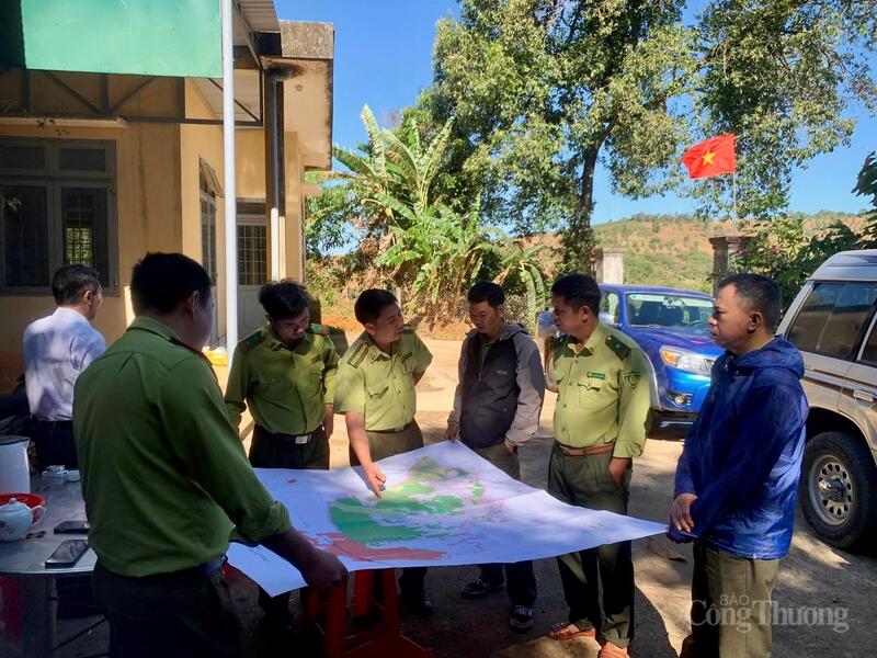 Lâm Đồng triển khai các biện pháp quản lý, bảo vệ rừng vào cao điểm mùa khô 2025-2026. Ảnh Minh An