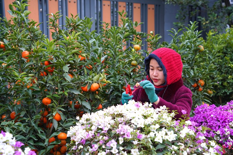 Đa dạng hàng hoá chuẩn bị cho dịp Tết. Ảnh: Mai Liễu