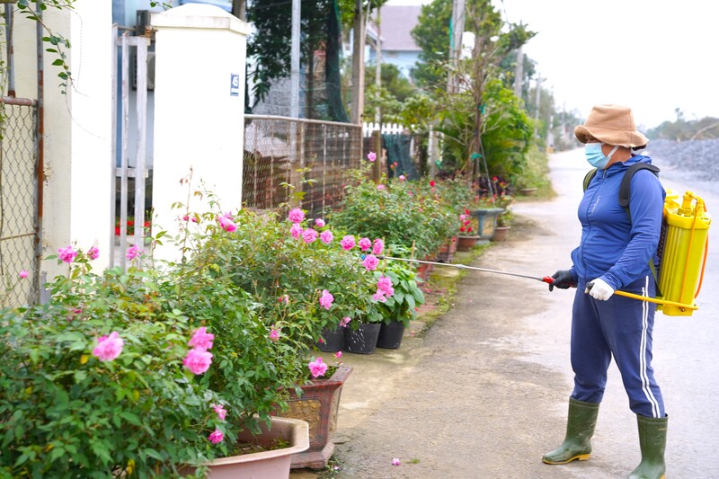 Trên các con đường vào làng nghề, đều bắt gặp cảnh người dân chăm sóc hoa và cây cảnh. Ảnh: Mai Liễu