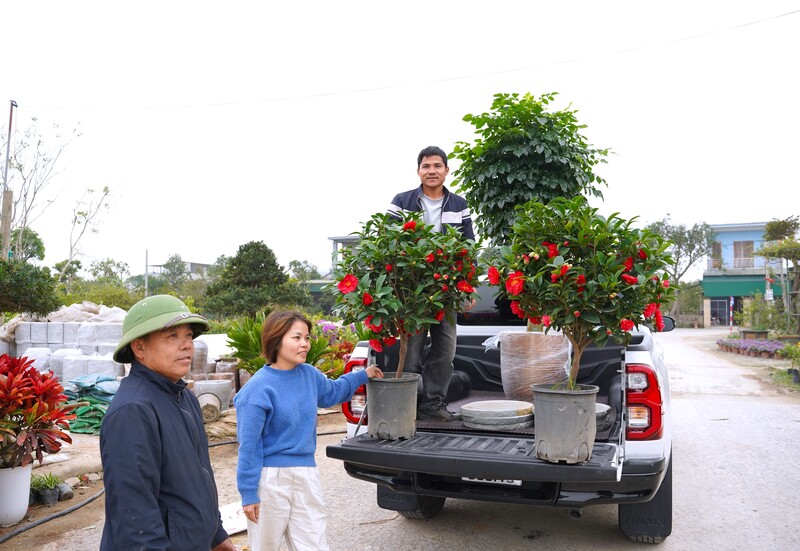 Nhiều khách hàng đã đến mua hoa và cây cảnh phục vụ Tết, xe chở hàng đi, đến nhộn nhịp. Ảnh: Mai Liễu