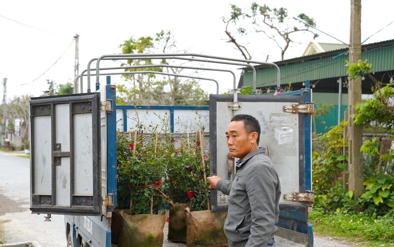 Hai tuần qua, một lượng lớn hoa, cây cảnh từ làng nghề được đưa vào các phường trung tâm để bày bán phục vụ dịp Tết. Ảnh: Mai Liễu