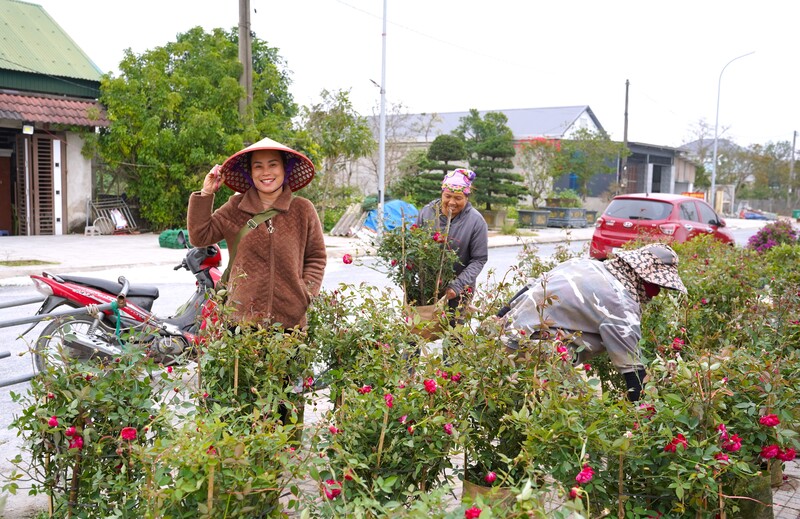 Làng nghề trồng hoa - cây cảnh đã tạo việc làm và thu nhập ổn định cho nhiều hộ dân. Ảnh: Mai Liễu