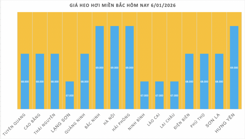 Giá heo hơi hôm nay 6/1/2026: Tăng 1.000 đồng  - 1