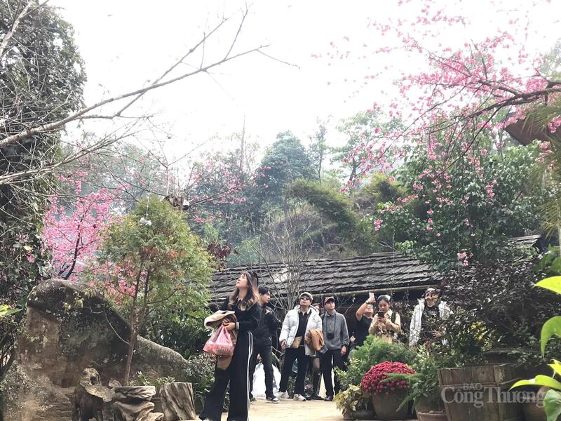 Các điểm đến trong nước đón lượng khách tăng mạnh dịp tết Dương lịch. Ảnh: Trần Duy