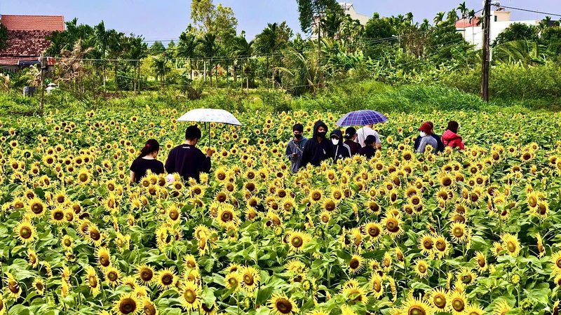 Rất đông người dân và khách du lịch đến đây chụp hình lưu niệm. Ảnh: Nguyễn Dương
