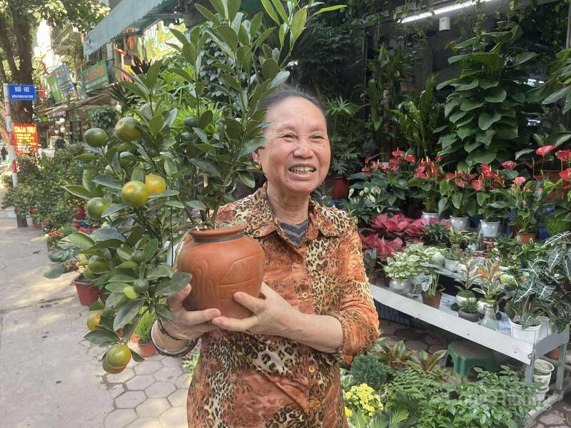 Quất cảnh được bán tại phố Hoàng Hoa Thám với nhiều loại và phân khúc giá.