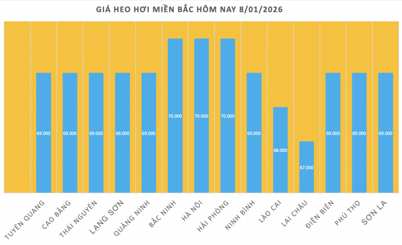 Giá heo hơi hôm nay 8/1/2026: Tăng đồng loạt trên cả nước - 1