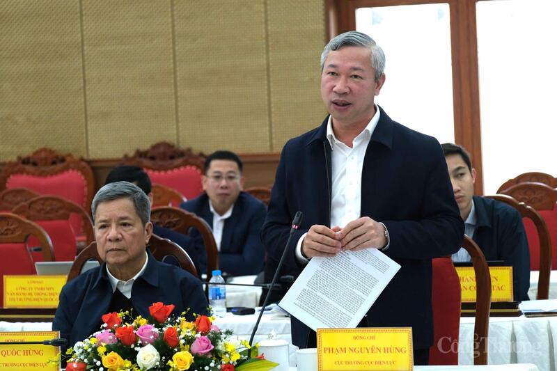 Ông Phạm Nguyên Hùng - Cục trưởng Cục Điện lực (Bộ Công Thương) phát biểu tại buổi làm việc. Ảnh: Lê Sơn
