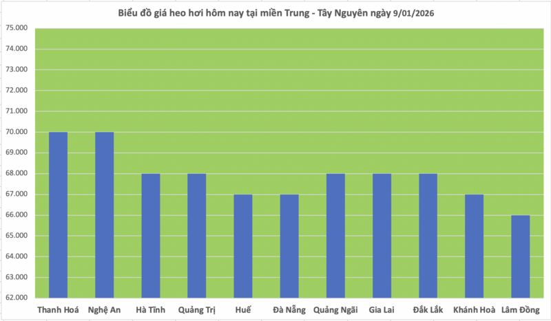 Giá heo hơi hôm nay 9/1/2026: Tiếp đà tăng giá, lập đỉnh mới - 2