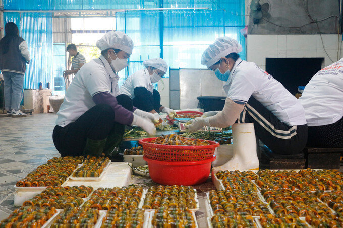 Các cơ sở chế biến lươn ở xã Hợp Minh luôn nhộn nhịp. Ảnh: Bích Huệ