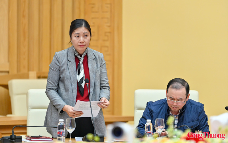 Bà Lê Thị Hồng - Thường trực Tổ Điều hành thị trường trong nước. Ảnh: Nam Nguyễn