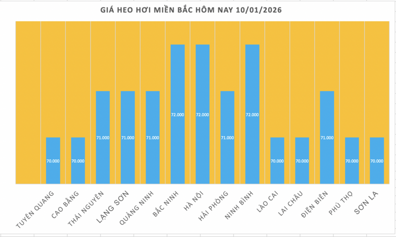 Giá heo hơi hôm nay 10/1/2026: Tiếp đà tăng diện rộng - 1