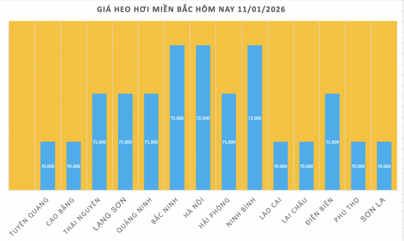 Giá heo hơi hôm nay 11/1/2026: Tiếp đà neo cao - 1
