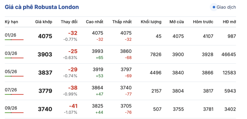 Giá cà phê hôm nay 12/1/2026: Tiếp tục đi ngang phiên đầu tuần - 1
