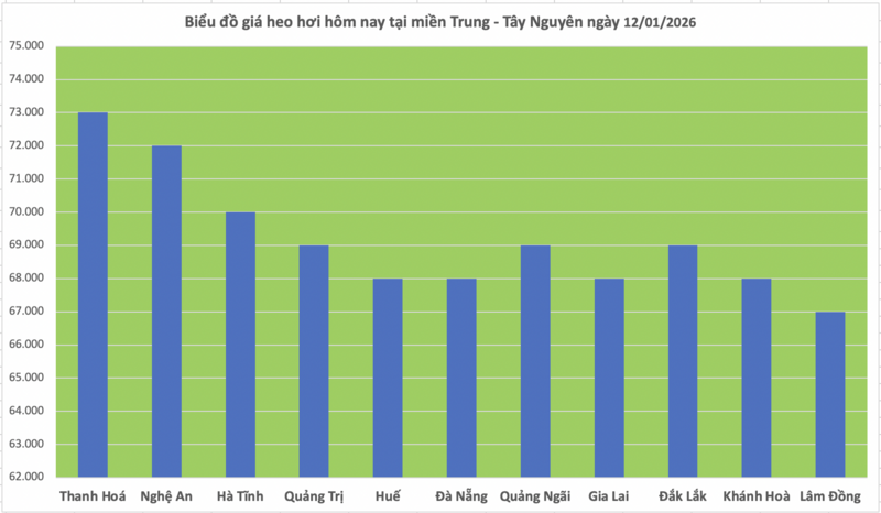 Giá heo hơi hôm nay 12/1/2026: Tăng mạnh, lập 'đỉnh' mới - 2