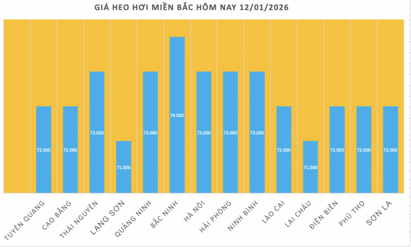 Giá heo hơi hôm nay 12/1/2026: Tăng mạnh, lập 'đỉnh' mới - 1