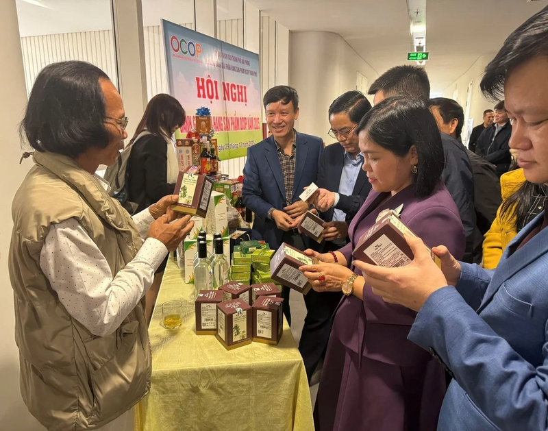 Gian hàng trưng bày tại Hội nghị đánh giá, phân hạng sản phẩm OCOP năm 2025 của TP. Hải Phòng. Ảnh: Đinh Mười
