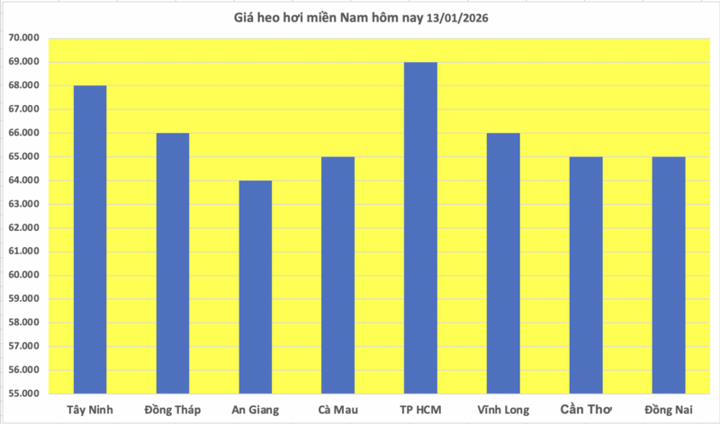 Giá heo hơi hôm nay 13/1/2026: Thị trường tăng 'nóng', lập đỉnh mới - 3