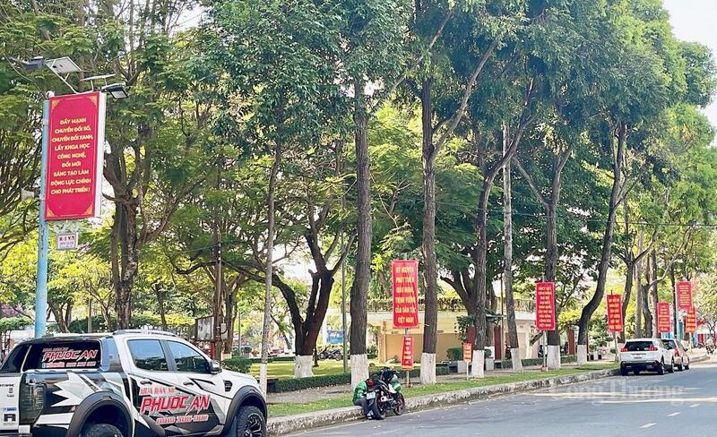 Sắc xuân Cần Thơ lan tỏa niềm tin, khí thế chào mừng Đại hội Đảng XIV - 11