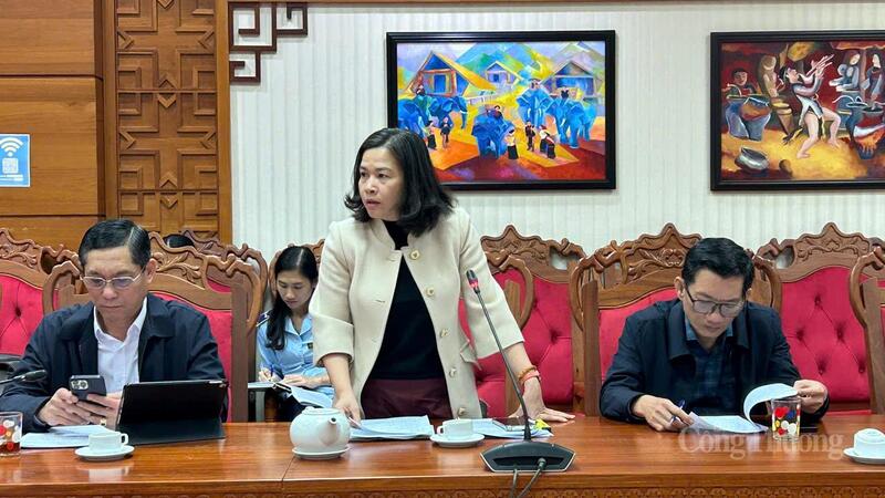 Bà Lâm Vũ Mỹ Hạnh, Phó Giám đốc Sở Khoa học và Công nghệ nêu ý kiến tại hội nghị. Ảnh: Vũ Long