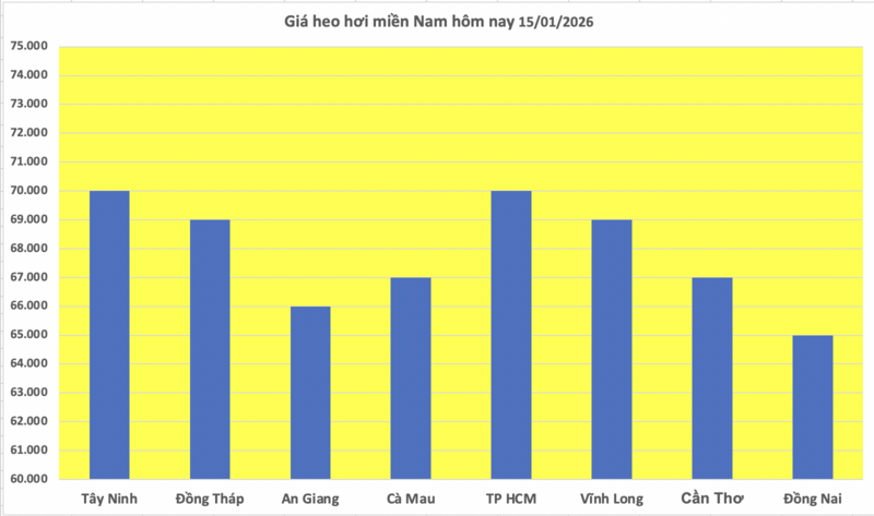 Giá heo hơi hôm nay 15/1/2026: Tăng đồng loạt tại miền Trung, miền Nam - 3