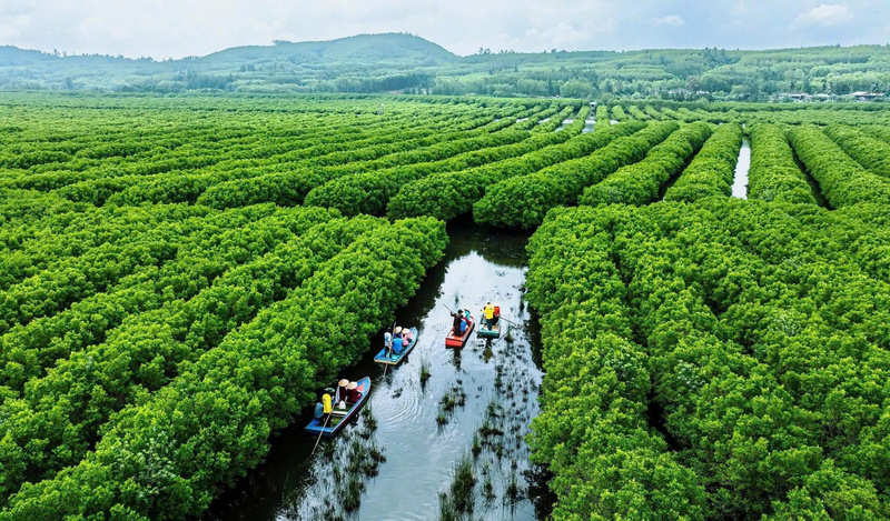 Việc hỗ trợ ngư dân chuyển đổi ngành nghề thông qua trao quyền cho cộng đồng bảo tồn các hệ sinh thái và văn hóa tri thức bản địa được kì vọng sẽ giúp người dân ổn định sinh kế. Ảnh: Nguyễn Dương