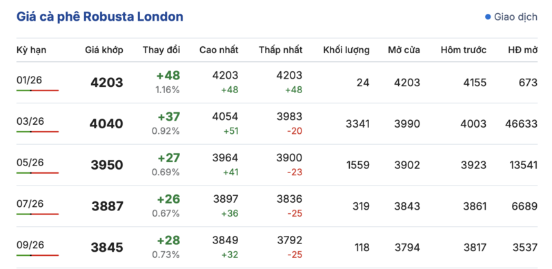Giá cà phê hôm nay 17/1/2026: Tăng nhẹ 500 - 600 đồng/kg - 1
