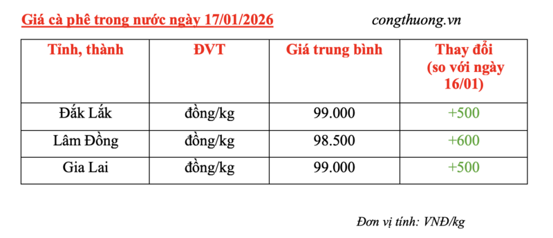 Giá cà phê hôm nay 17/1/2026: Tăng nhẹ 500 - 600 đồng/kg - 4