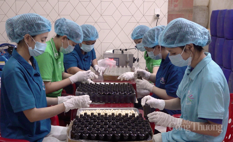 Nhiều đơn vị ghi nhận đơn hàng Tết tăng tới 50% so với cùng kỳ Tết năm 2025.