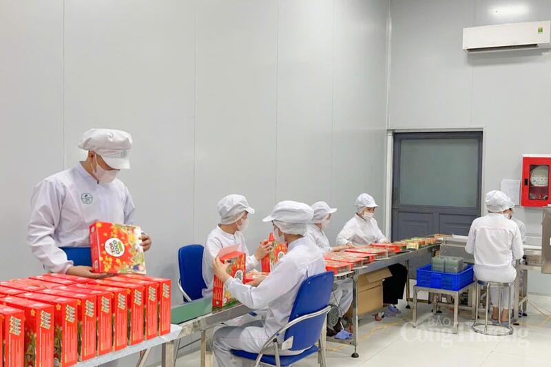 Công ty Mỹ Phương Food chủ động làm việc với đơn vị cung cấp nguyên liệu và các đối tác để đảm bảo giá sản phẩm ổn định trong cao điểm sản xuất phục vụ tết Nguyên đán Bính Ngọ 2026.